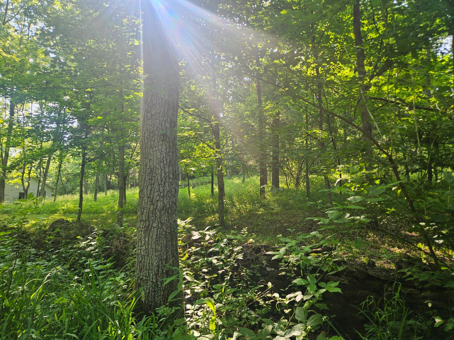 12823 Bethel Ridge Road Florence, IN 47020 - Photo 8 of 24