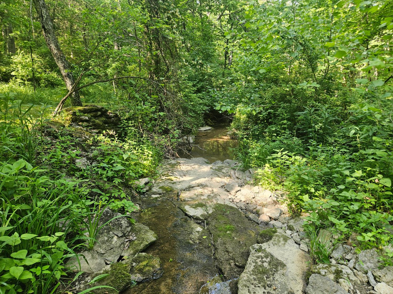 12823 Bethel Ridge Road Florence, IN 47020 - Photo 9 of 24