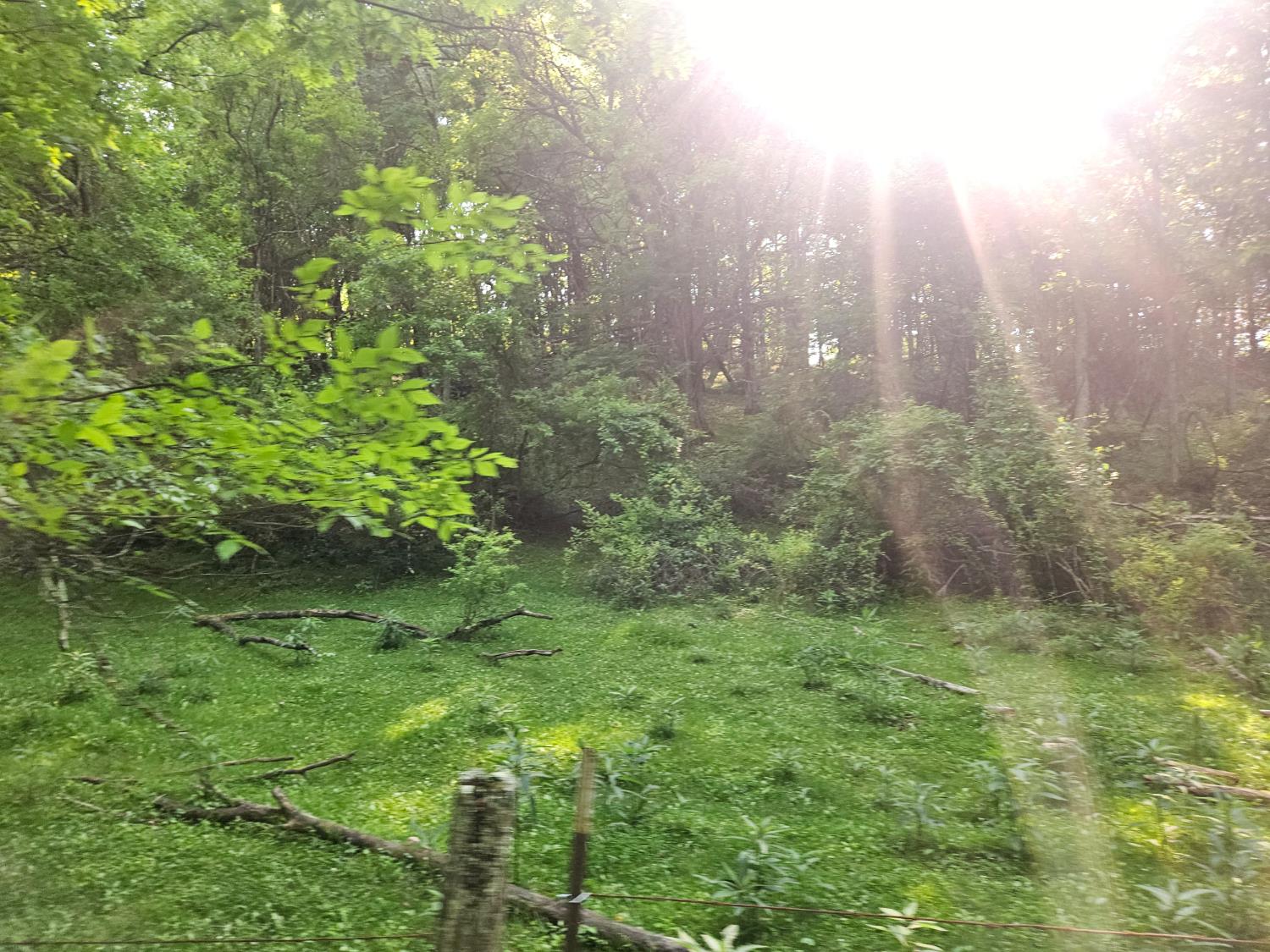 12823 Bethel Ridge Road Florence, IN 47020 - Photo 10 of 24