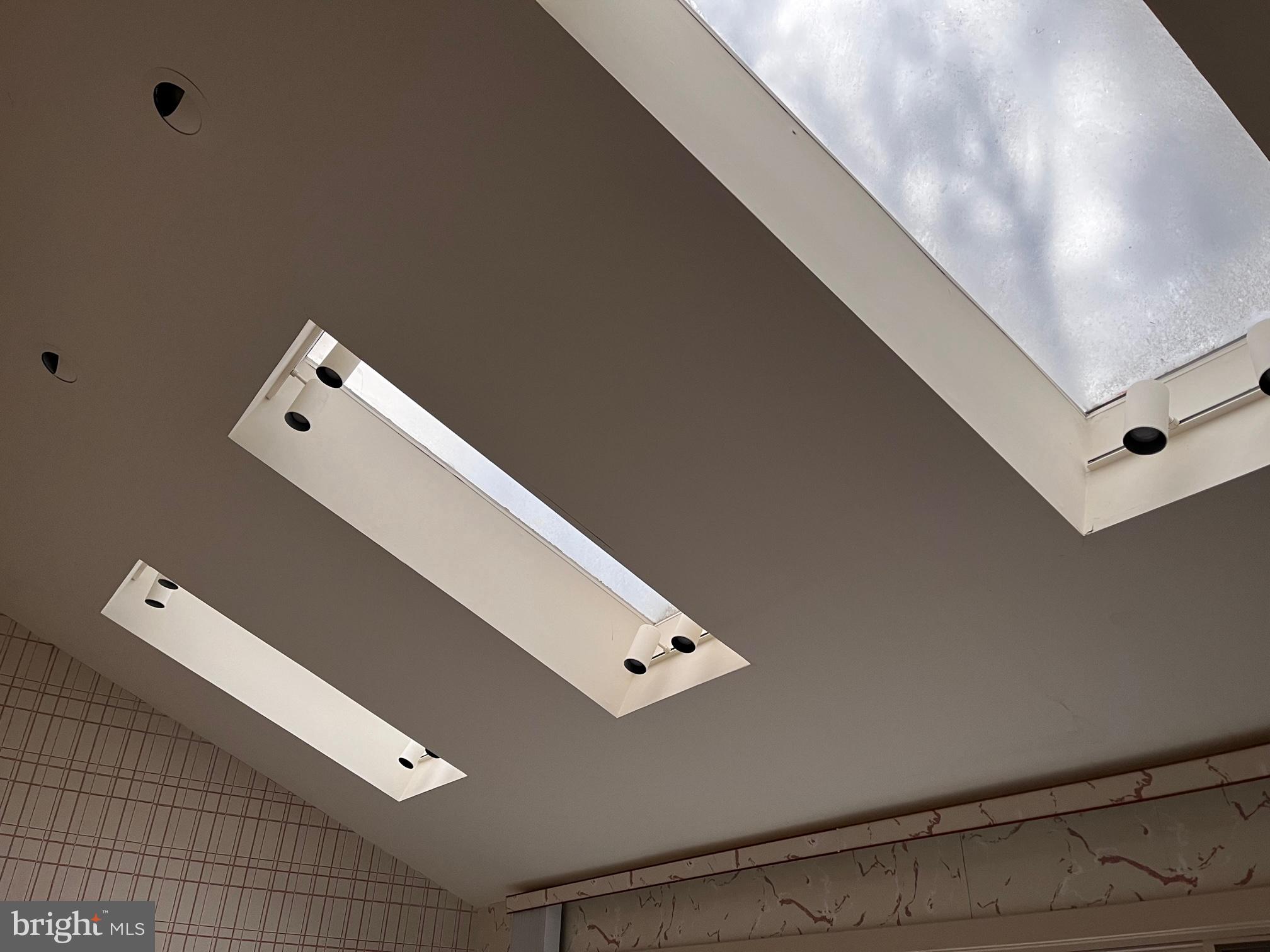 10 Redgate Court Silver Spring, MD 20905 - Photo 30 of 49 Multiple skylight areas in home