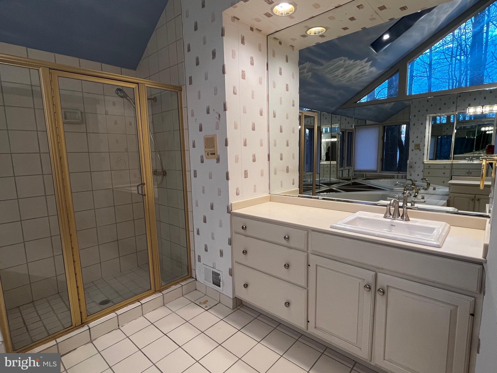 10 Redgate Court Silver Spring, MD 20905 - Photo 36 of 49 Step in shower, recessed lighting