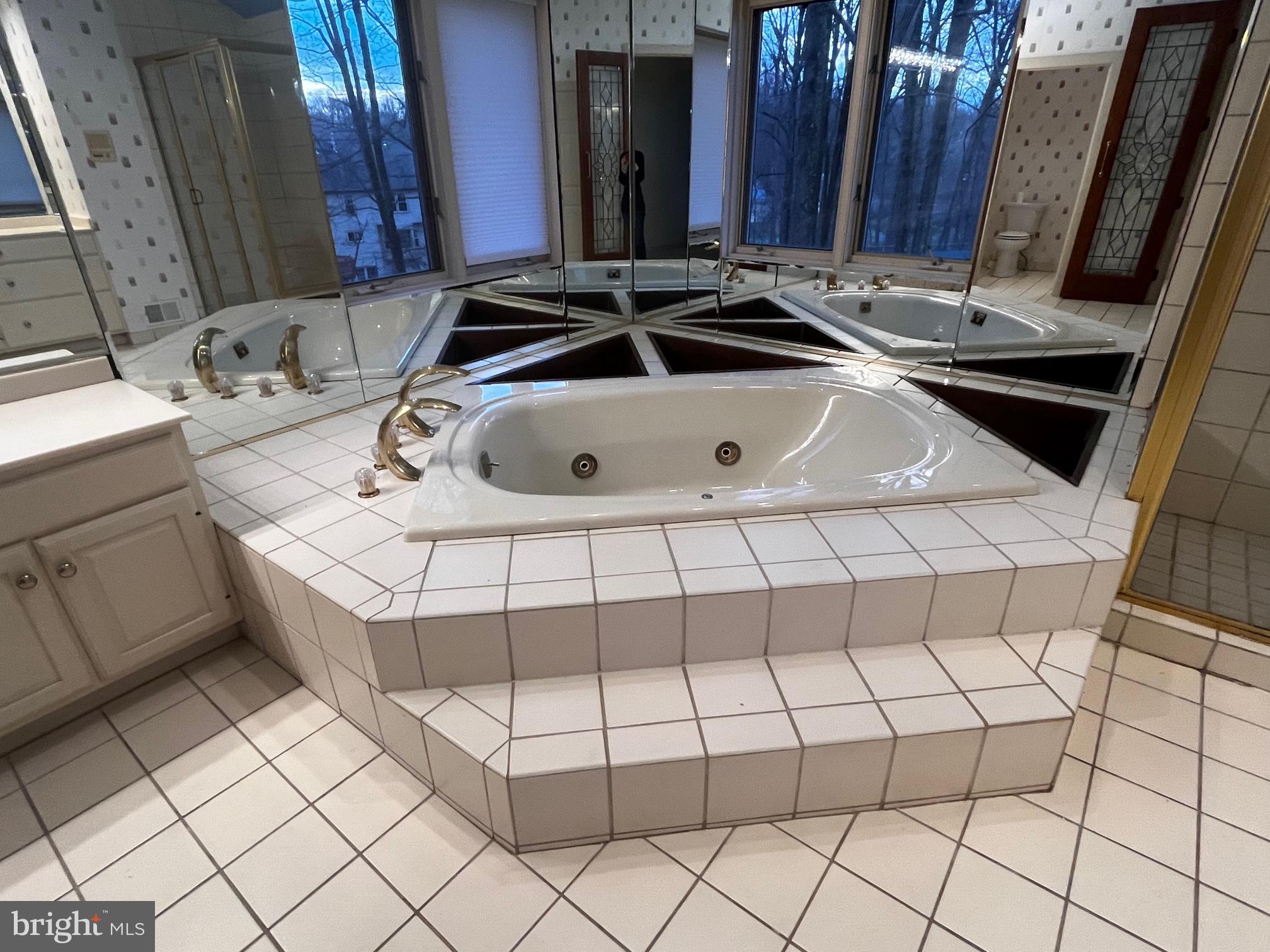 10 Redgate Court Silver Spring, MD 20905 - Photo 38 of 49 Jetted step in tub