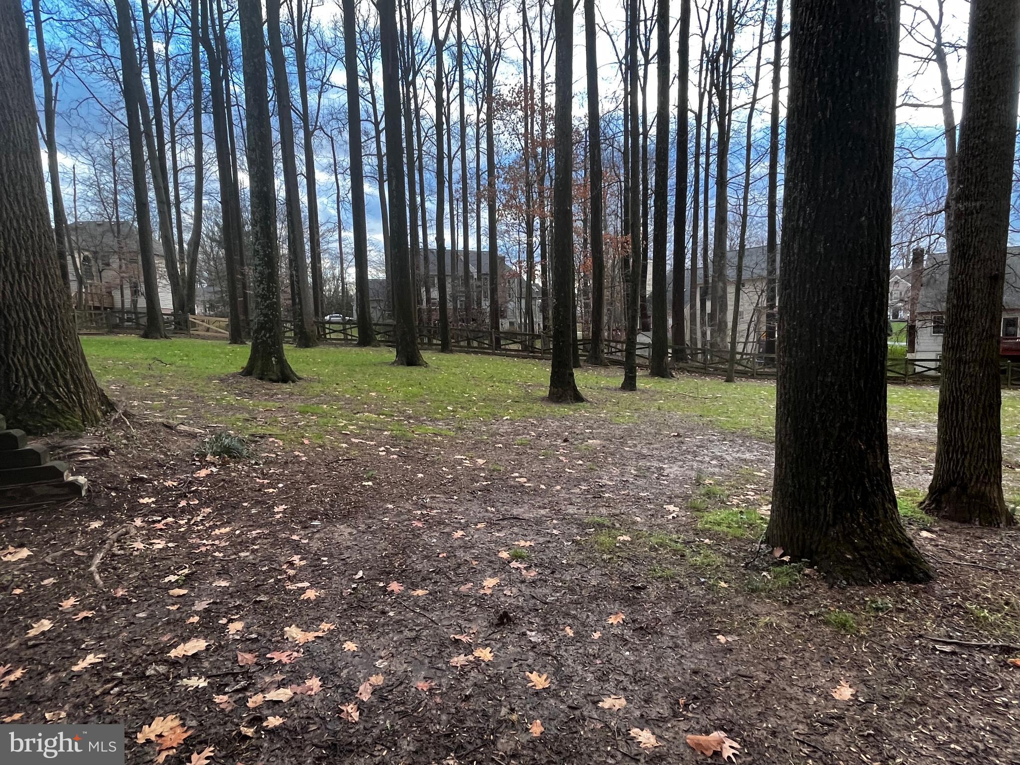 10 Redgate Court Silver Spring, MD 20905 - Photo 47 of 49 Fenced rear yard, trees and privacy