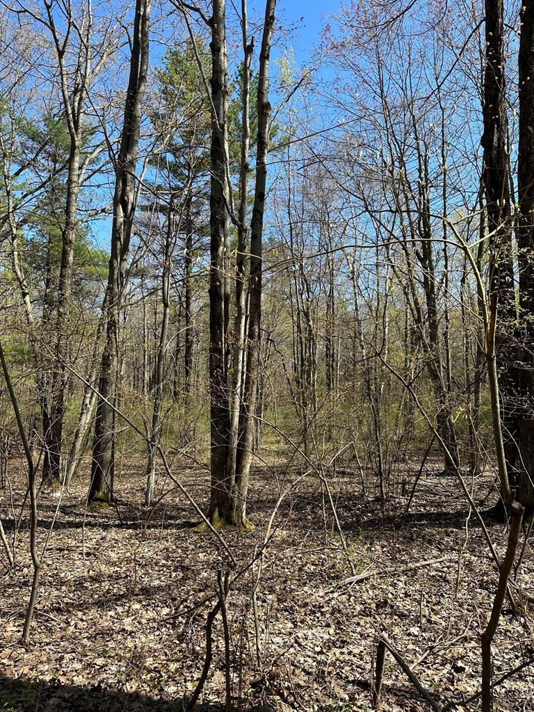 Lot 2 East Pine Tree Road Sturgeon Bay, WI 54235 - Photo 4 of 4