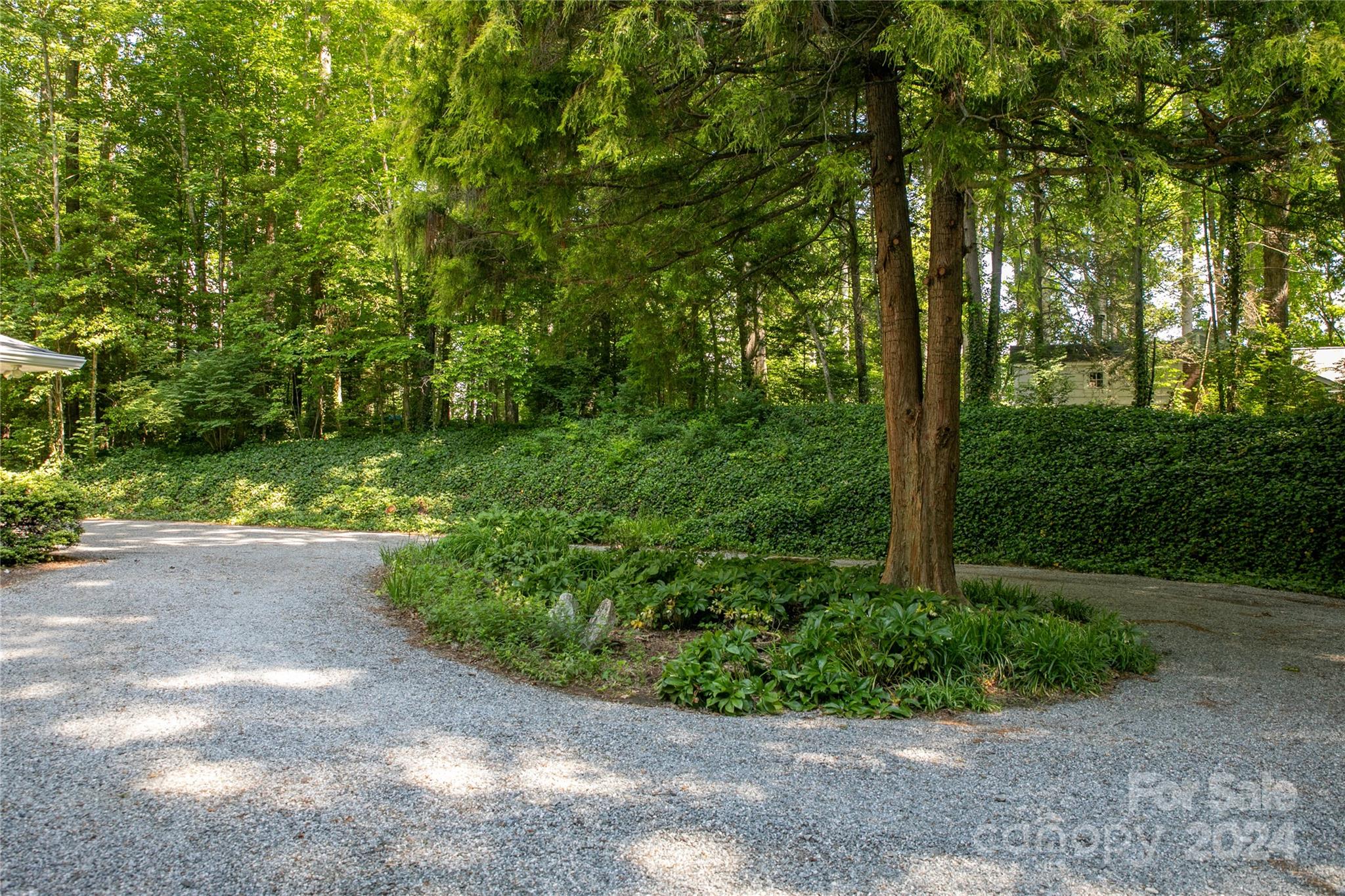 260 River Ridge Road Brevard, NC 28712 - Photo 7 of 48 Gallery Image 7