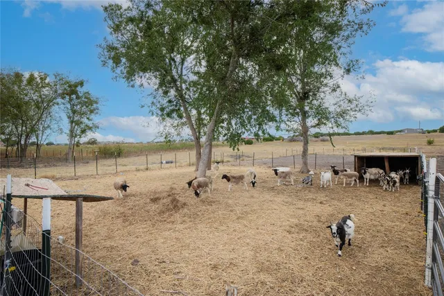 a group of lawn chairs sitting in backyard of house