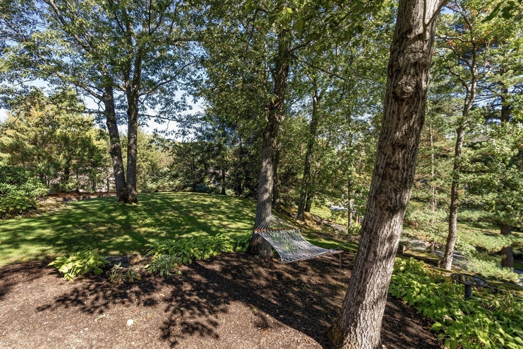 44 Bradford Road Wellesley, MA 02481 - Photo 3 of 35