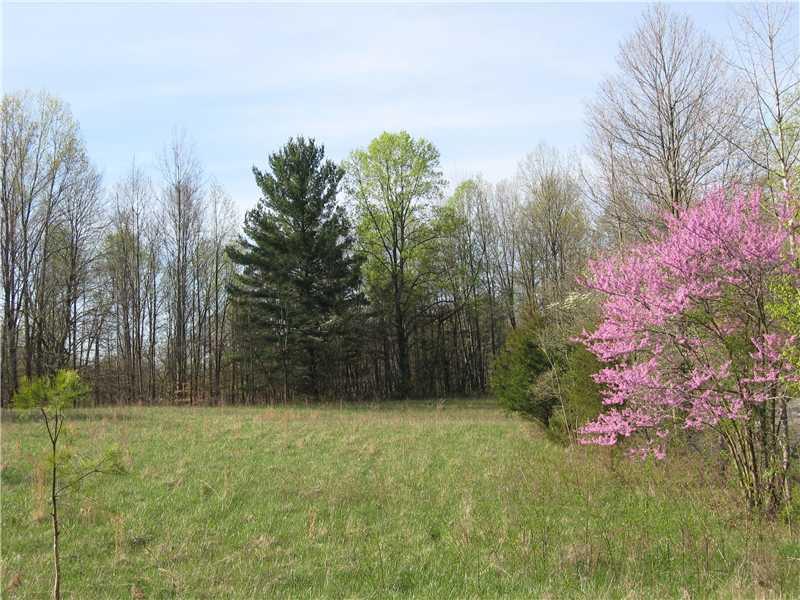 5 Lot 5 Fish Road Bloomington, IN 47408 - Photo 3 of 6