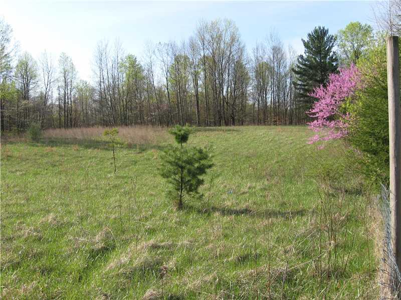 5 Lot 5 Fish Road Bloomington, IN 47408 - Photo 4 of 6