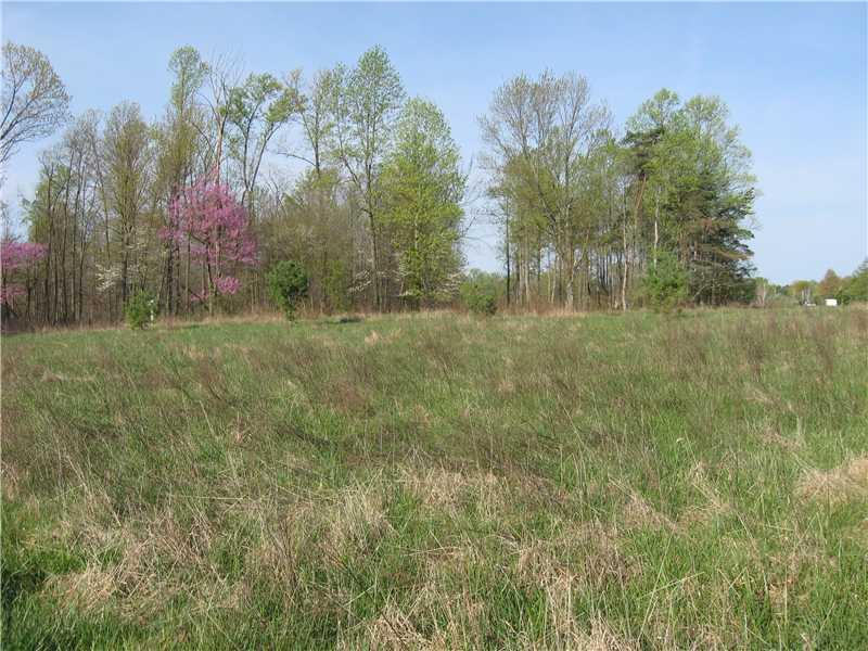 5 Lot 5 Fish Road Bloomington, IN 47408 - Photo 5 of 6