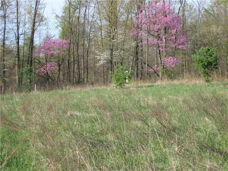 5 Lot 5 Fish Road Bloomington, IN 47408 - Photo 6 of 6