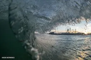 a view of back yard of the house