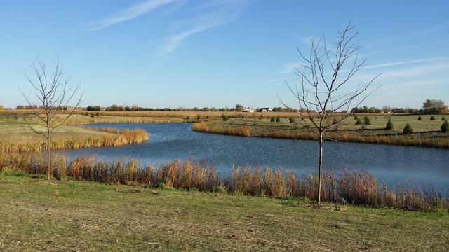 2068 Stapleton Road New Lenox, IL 60451 - Photo 11 of 12 a view of a lake with houses