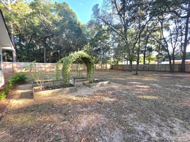 a view of a park with tree s