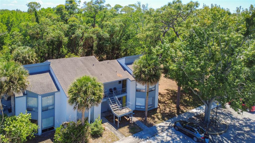 2636 Lemon Tree Lane, Unit 2636 Orlando, FL 32839 - Photo 2 of 51 a view of a house with a yard and potted plants