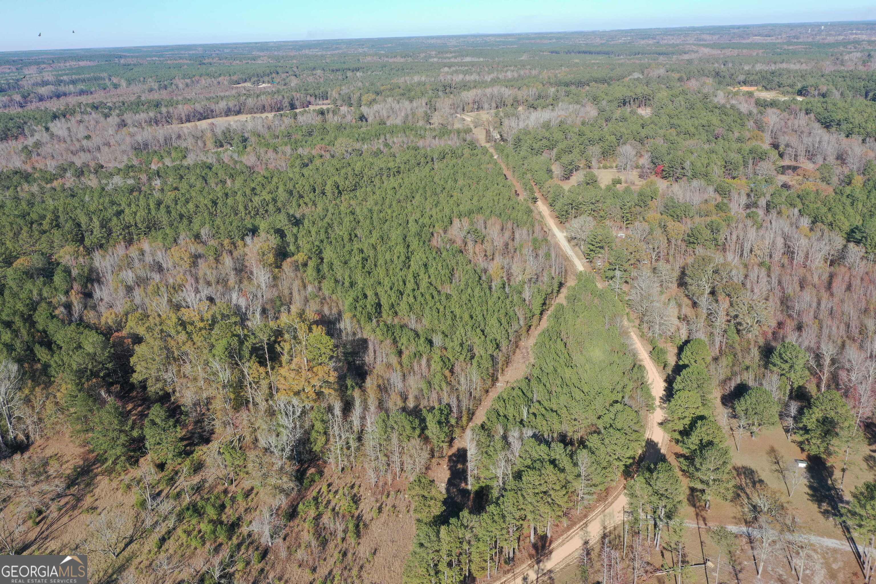 0 Wilson Road Warrenton, GA 30828 - Photo 2 of 7