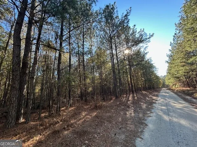 $99,500 | 0 Wilson Road, Warrenton, GA 30828