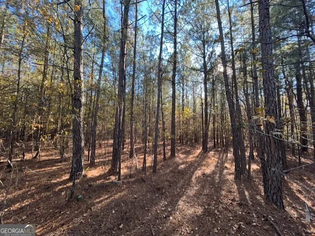$99,500 | 0 Wilson Road, Warrenton, GA 30828