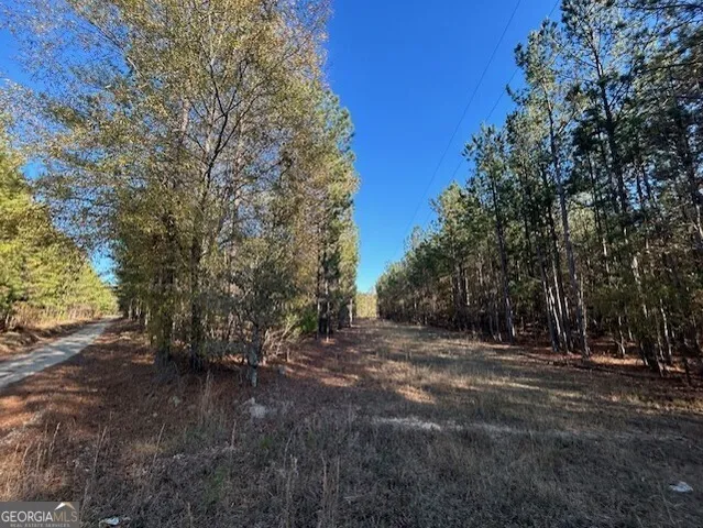 $99,500 | 0 Wilson Road, Warrenton, GA 30828