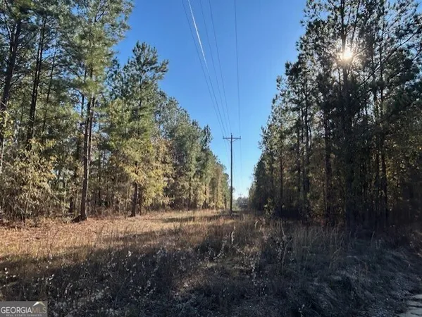 $99,500 | 0 Wilson Road, Warrenton, GA 30828