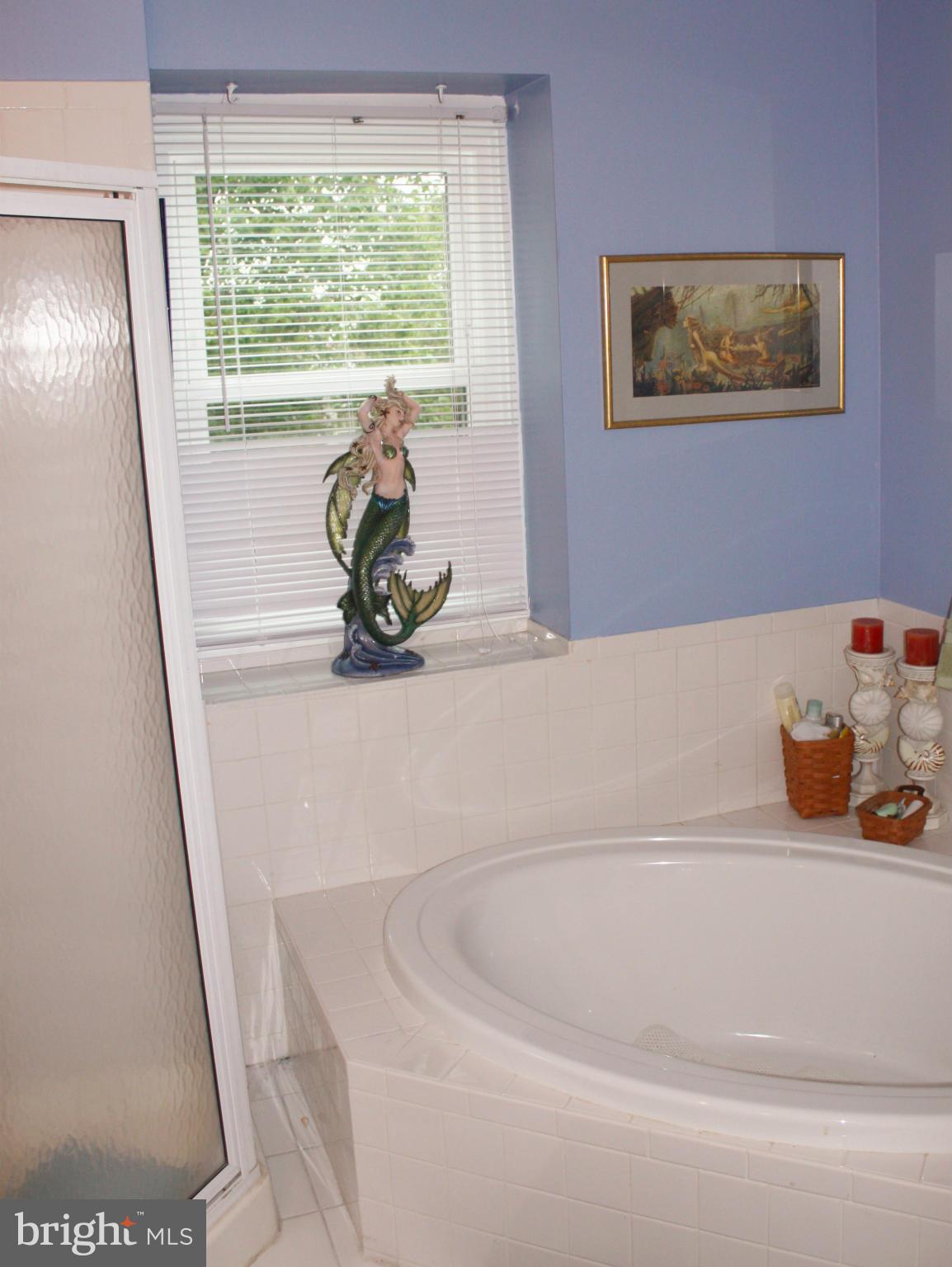 6406 Devers Street Springfield, VA 22150 - Photo 17 of 30 Bath (Master)