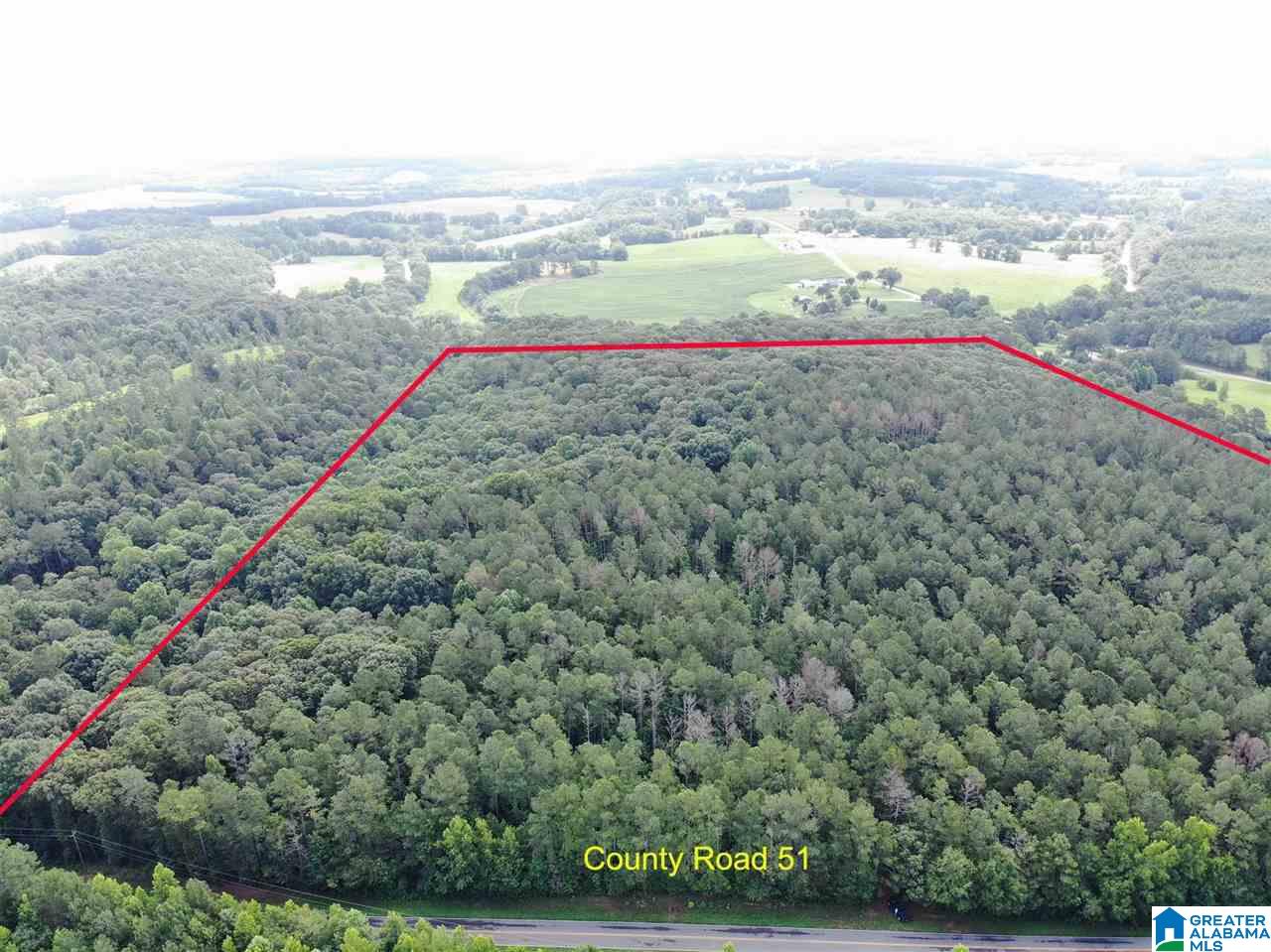 0 County Road 51 Graham, AL 36263 - Photo 1 of 7
