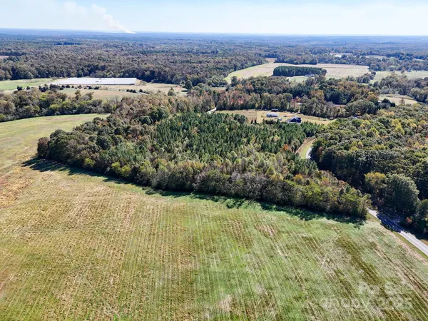 a view of a bunch of trees and bushes