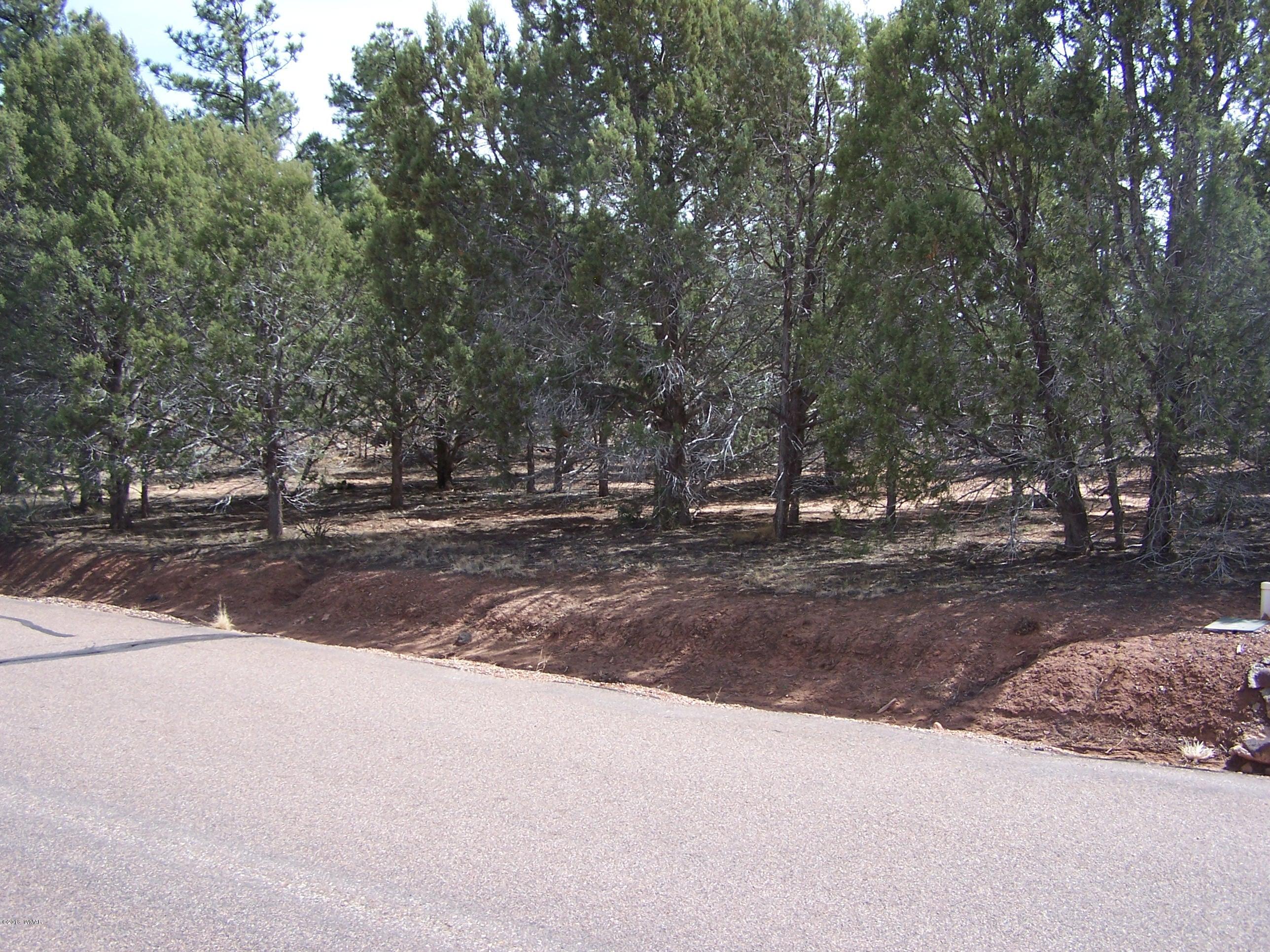 6859 Rim Rock Road Show Low, AZ 85901 - Photo 1 of 18 Gallery Image 1
