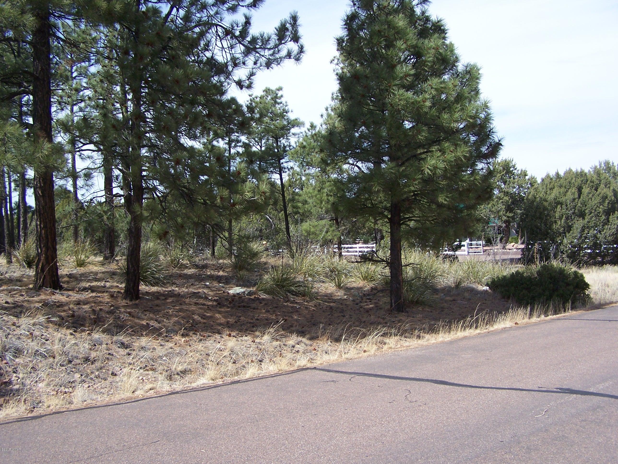 6859 Rim Rock Road Show Low, AZ 85901 - Photo 11 of 18 Gallery Image 11