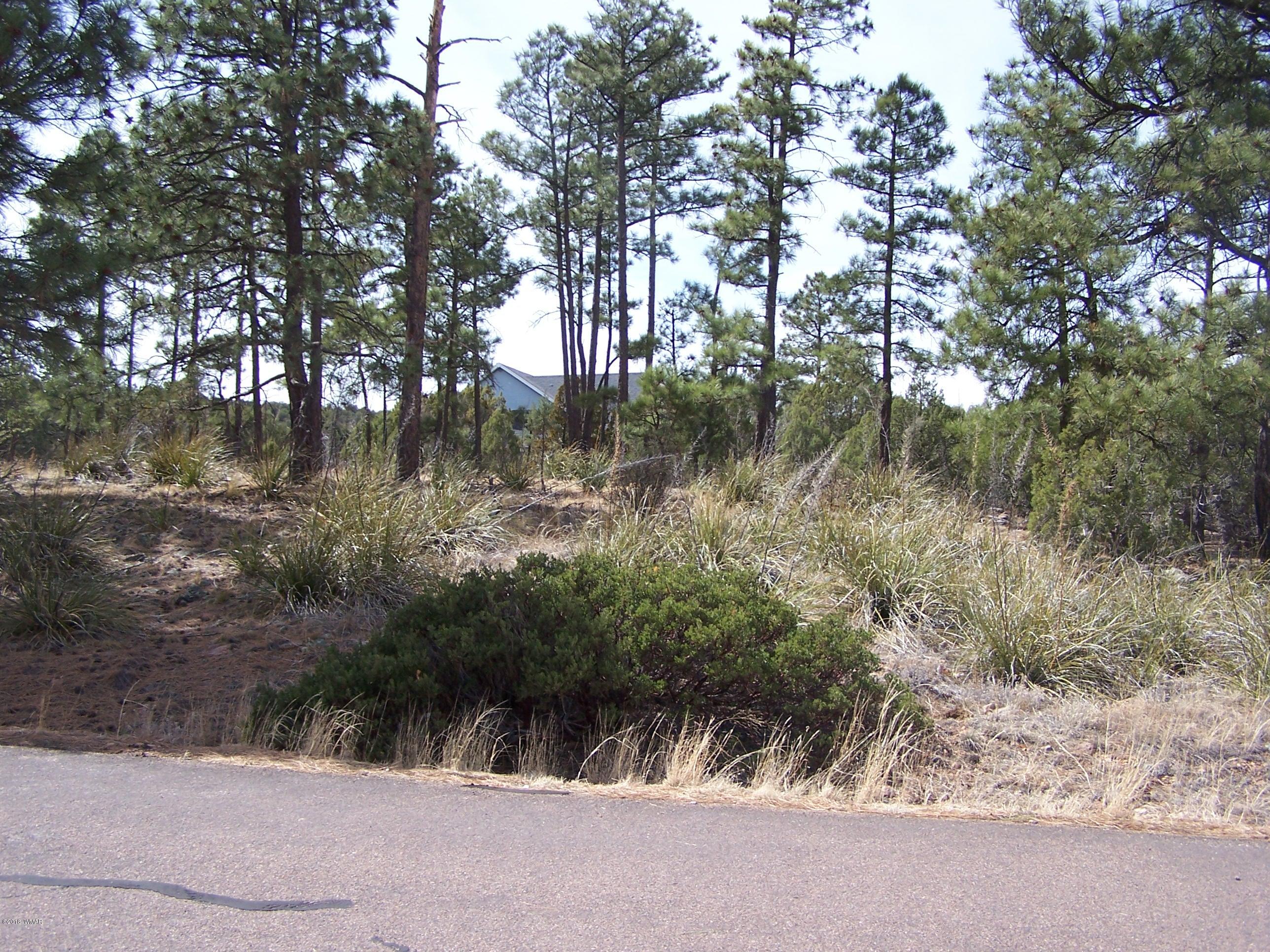 6859 Rim Rock Road Show Low, AZ 85901 - Photo 12 of 18 Gallery Image 12