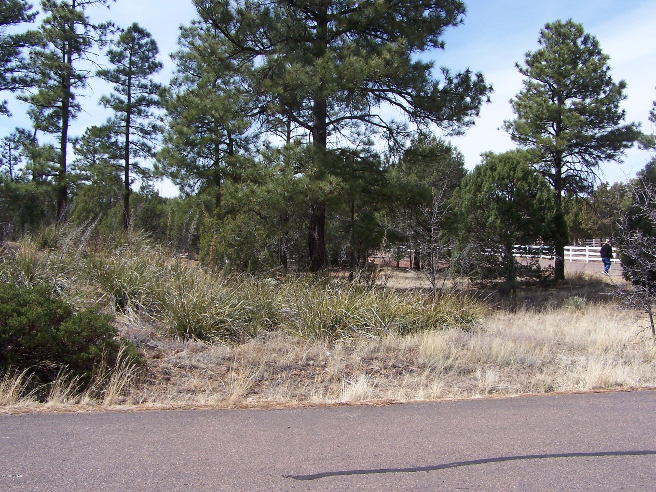 6859 Rim Rock Road Show Low, AZ 85901 - Photo 13 of 18 Gallery Image 13