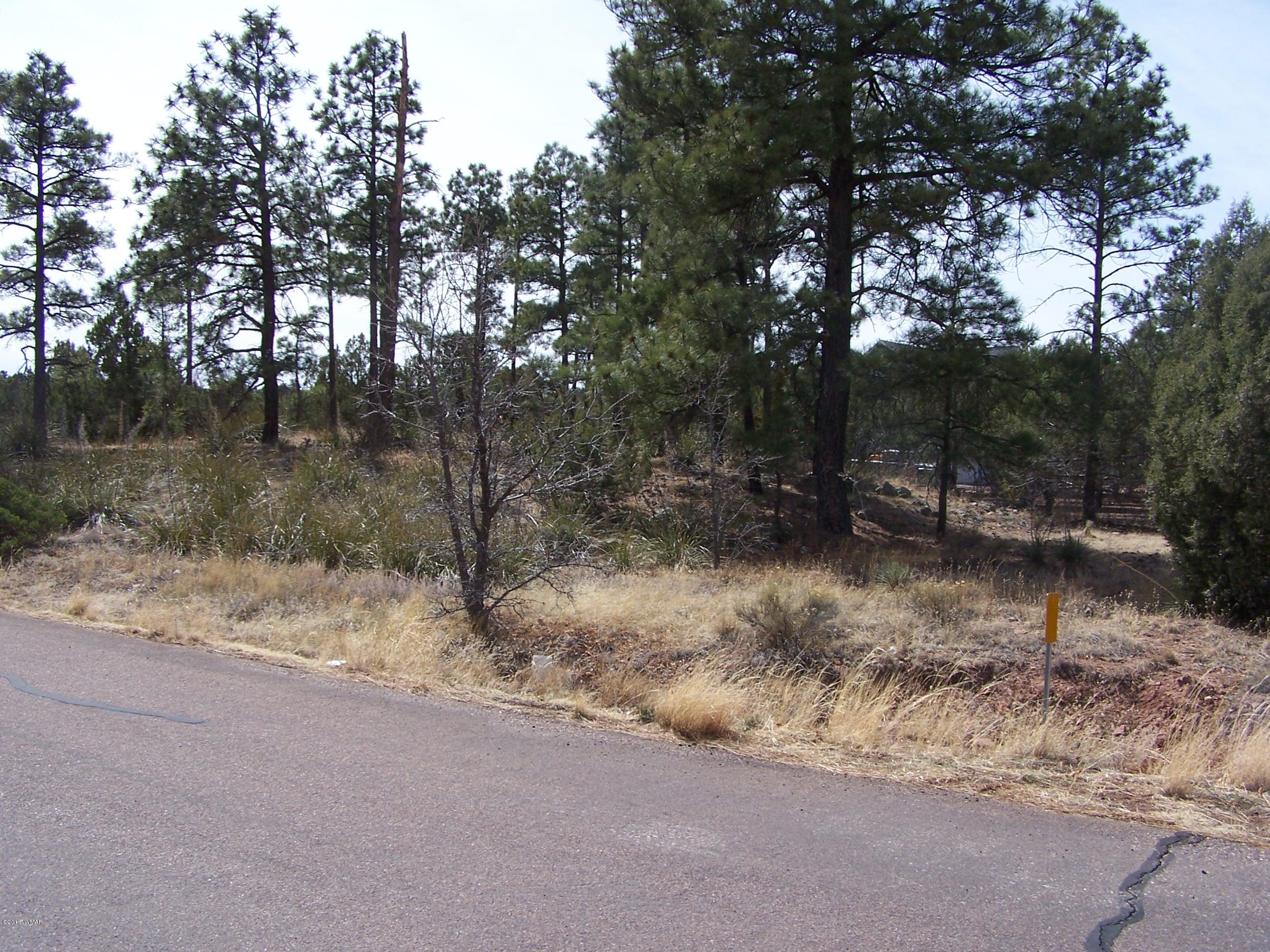 6859 Rim Rock Road Show Low, AZ 85901 - Photo 14 of 18 Gallery Image 14