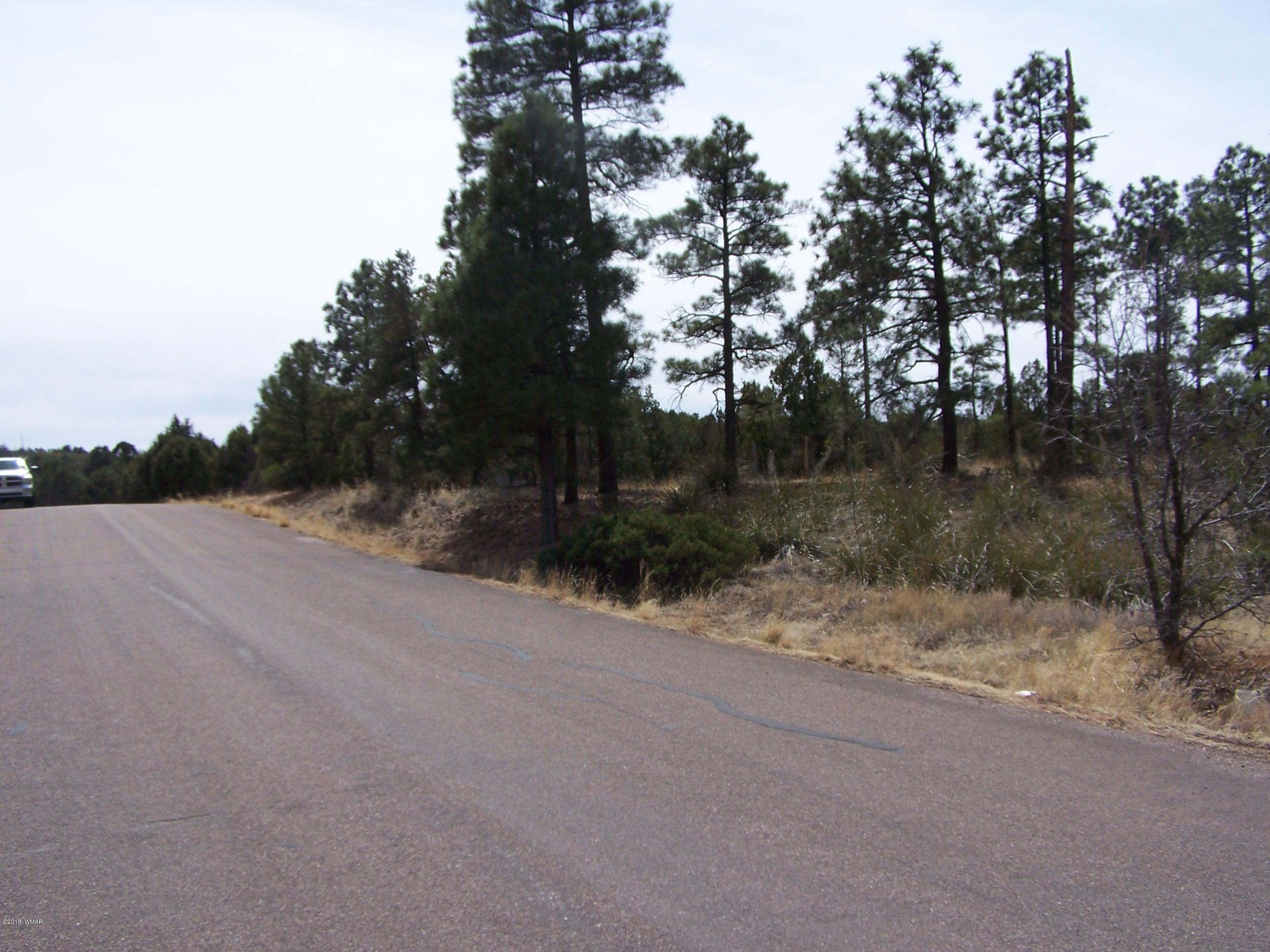 6859 Rim Rock Road Show Low, AZ 85901 - Photo 15 of 18 Gallery Image 15