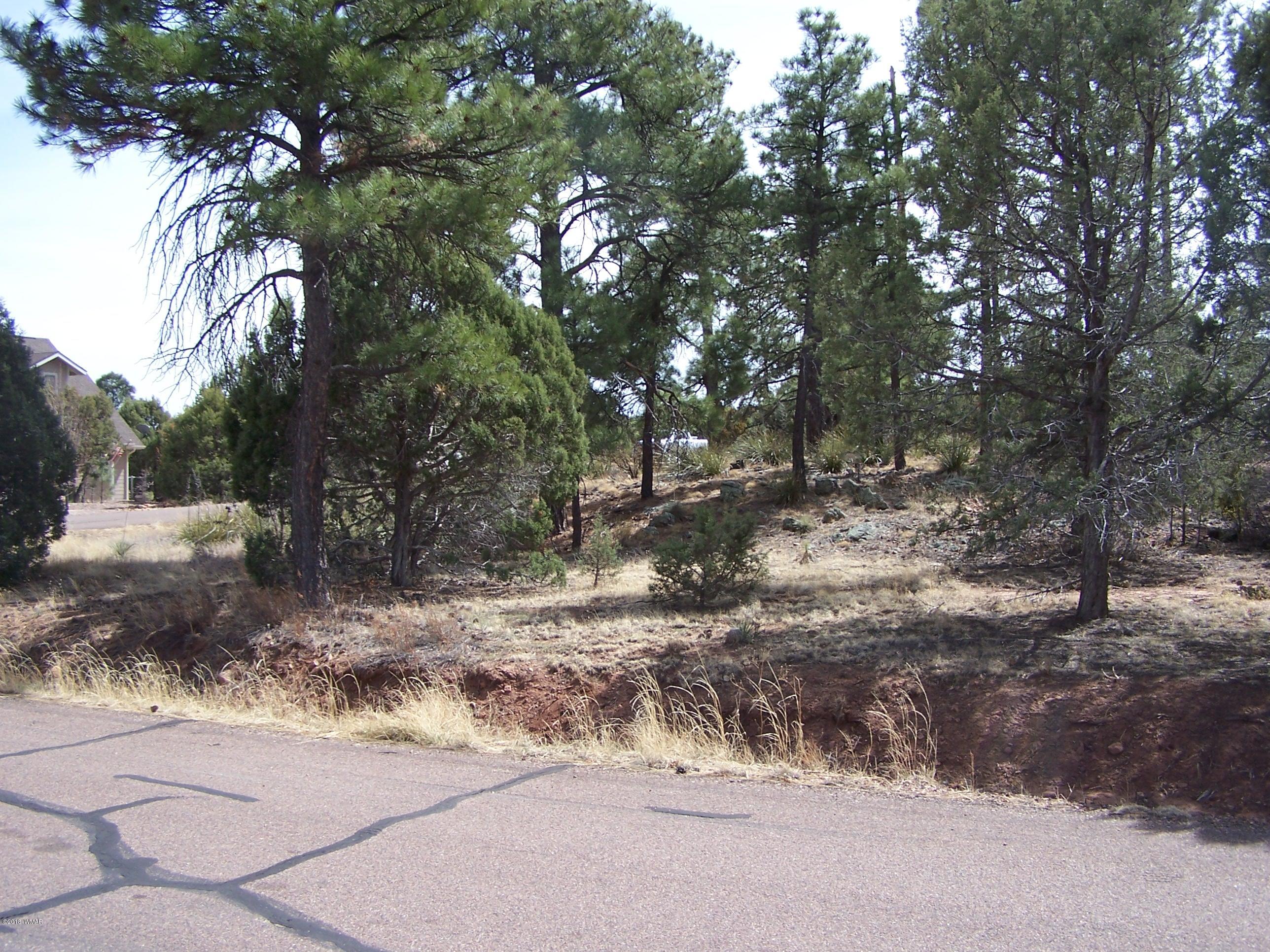 6859 Rim Rock Road Show Low, AZ 85901 - Photo 16 of 18 Gallery Image 16