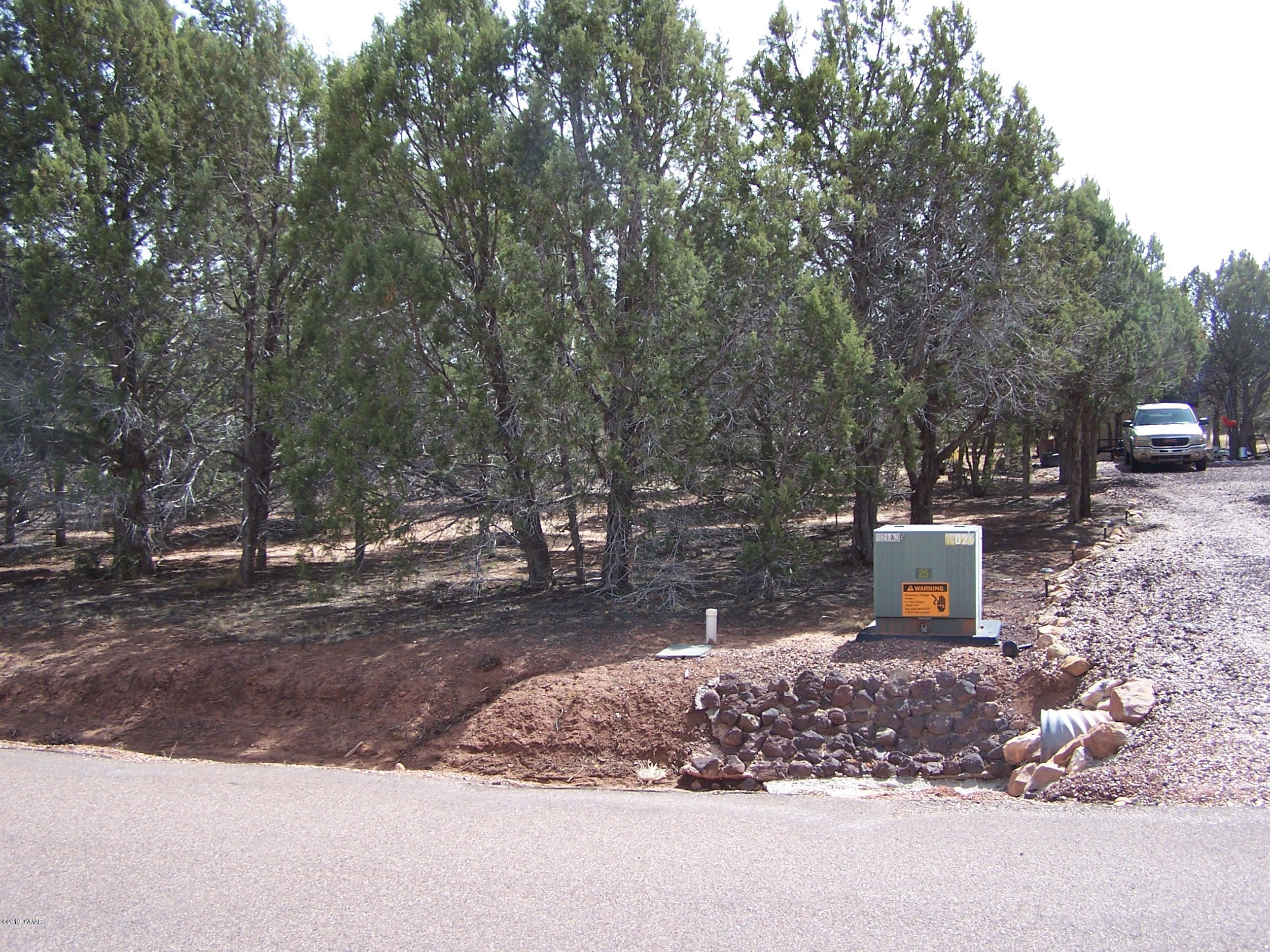 6859 Rim Rock Road Show Low, AZ 85901 - Photo 18 of 18 Gallery Image 18