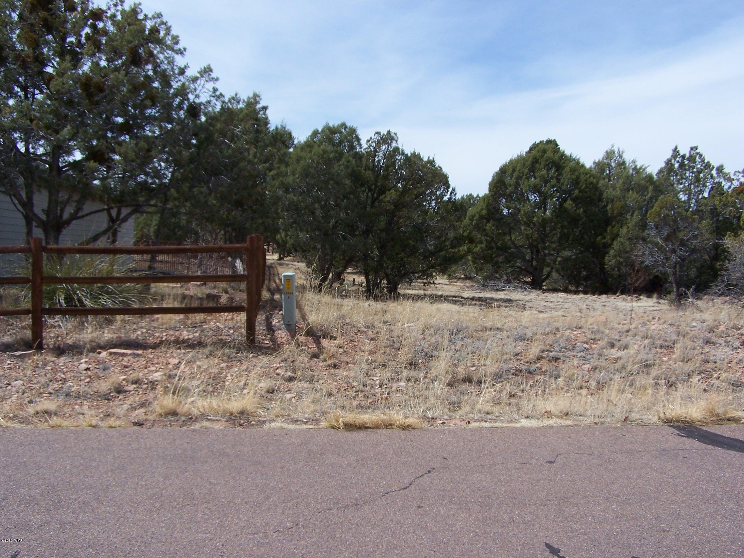 6859 Rim Rock Road Show Low, AZ 85901 - Photo 2 of 18 Gallery Image 2