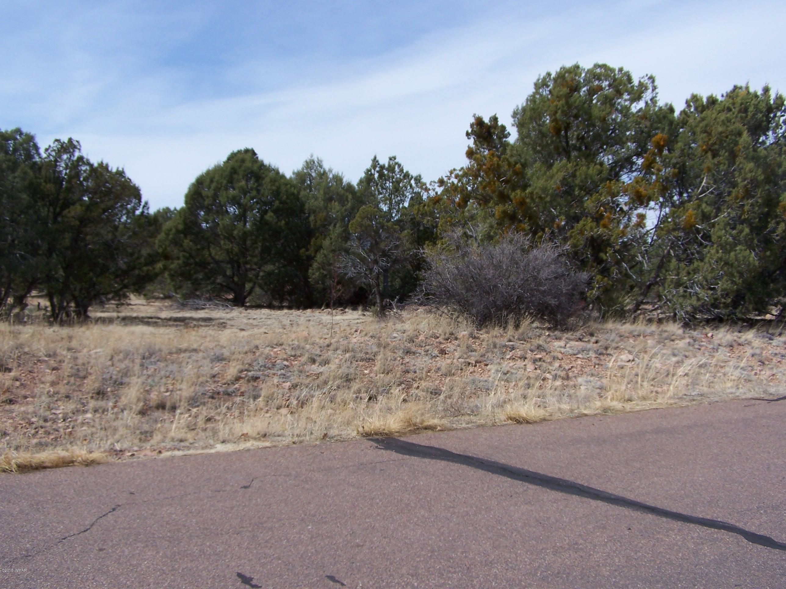6859 Rim Rock Road Show Low, AZ 85901 - Photo 3 of 18 Gallery Image 3