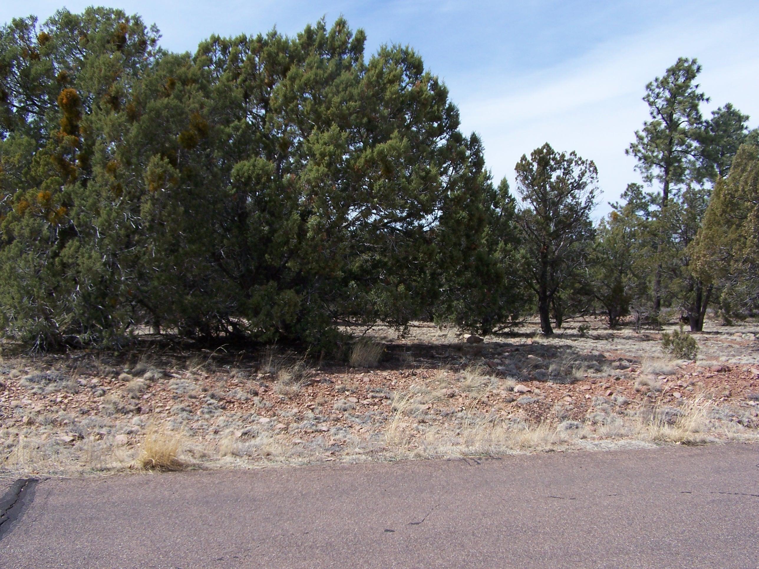 6859 Rim Rock Road Show Low, AZ 85901 - Photo 4 of 18 Gallery Image 4