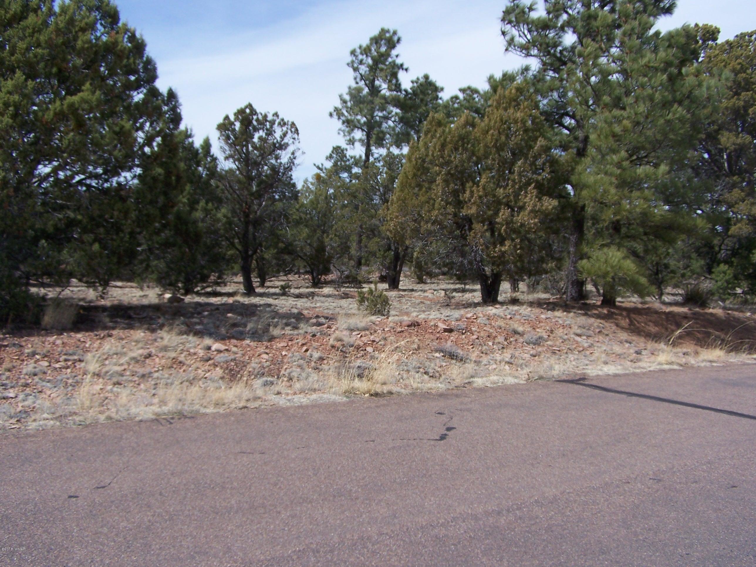 6859 Rim Rock Road Show Low, AZ 85901 - Photo 5 of 18 Gallery Image 5