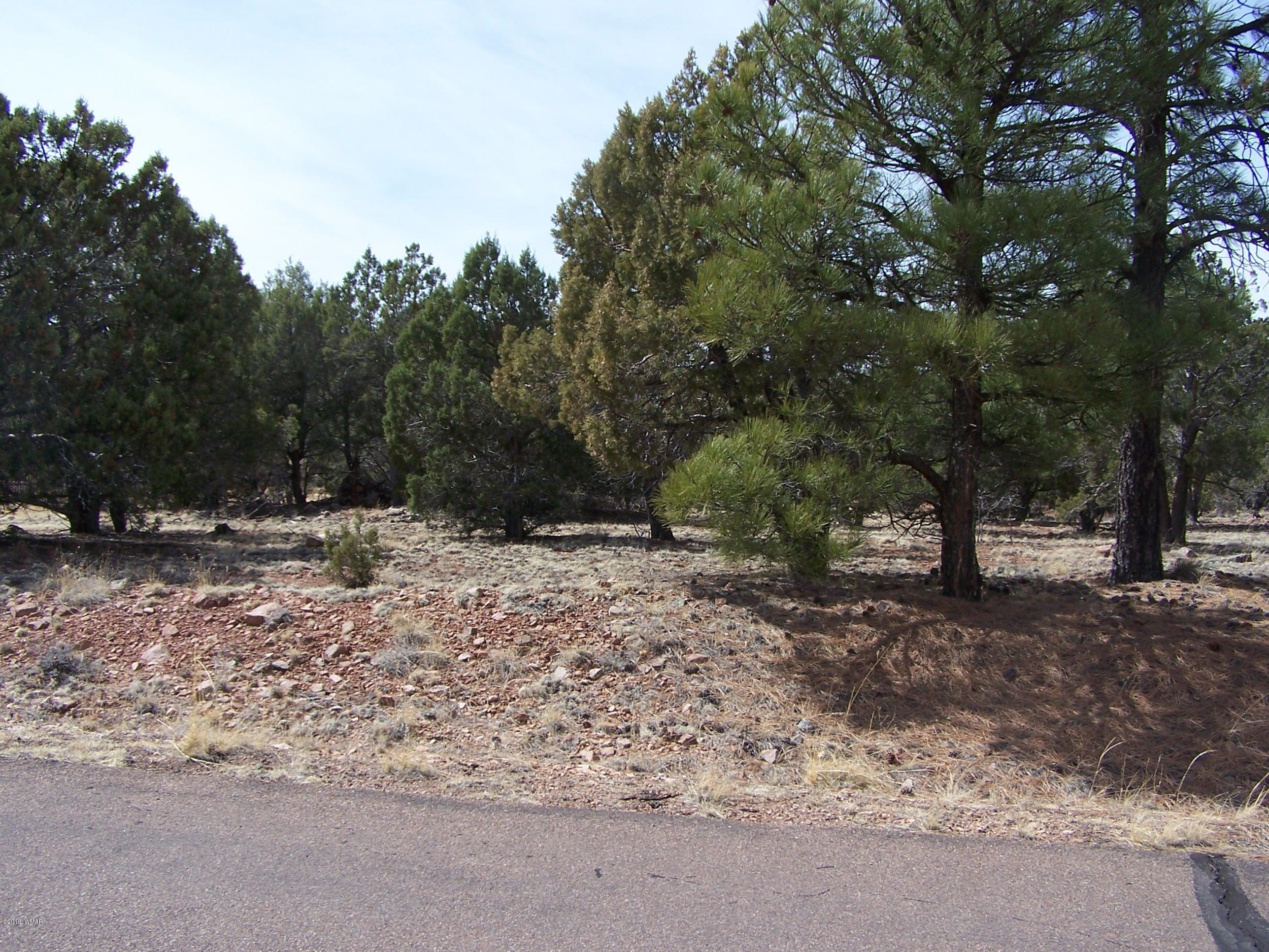 6859 Rim Rock Road Show Low, AZ 85901 - Photo 6 of 18 Gallery Image 6