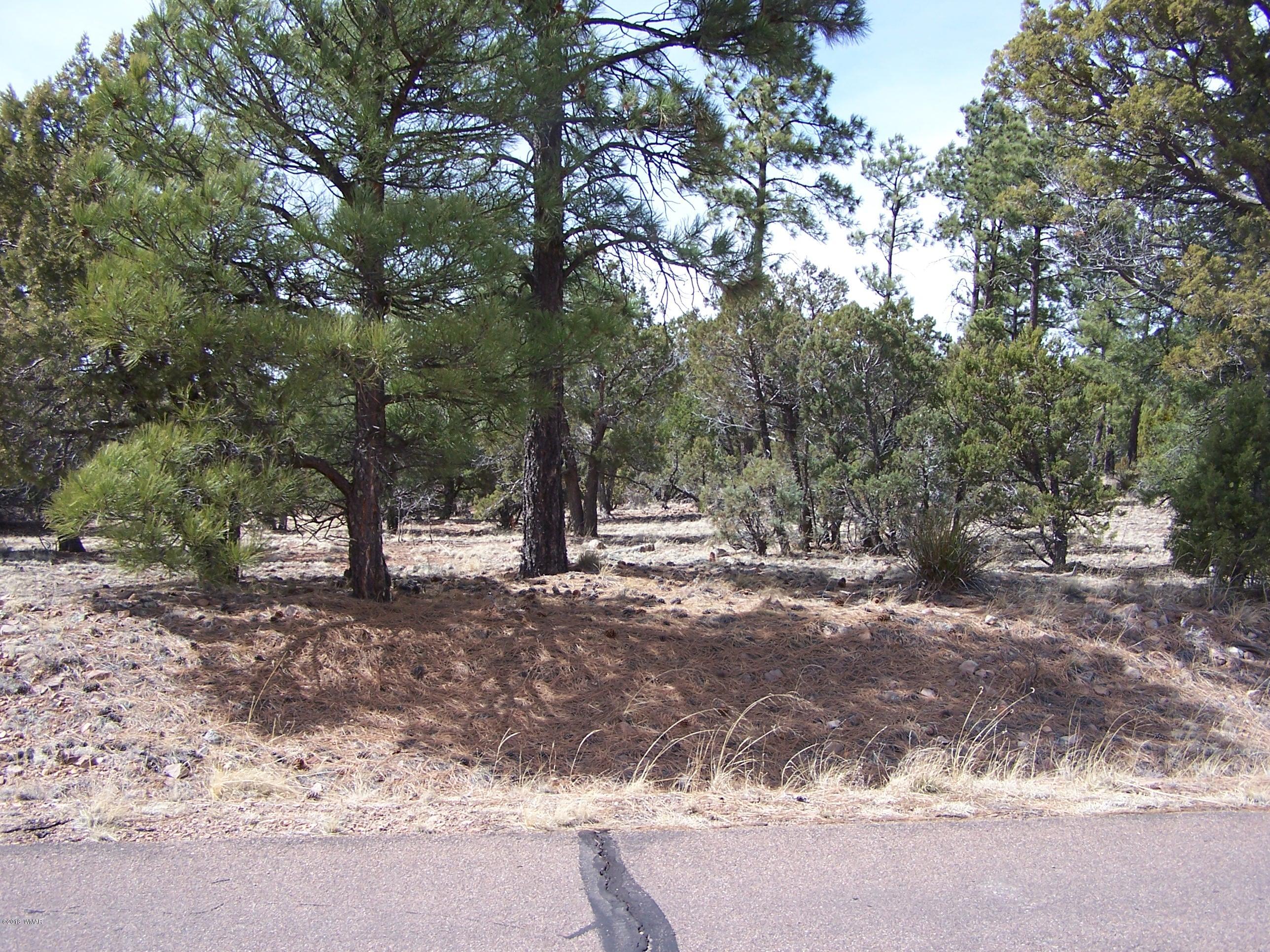 6859 Rim Rock Road Show Low, AZ 85901 - Photo 7 of 18 Gallery Image 7