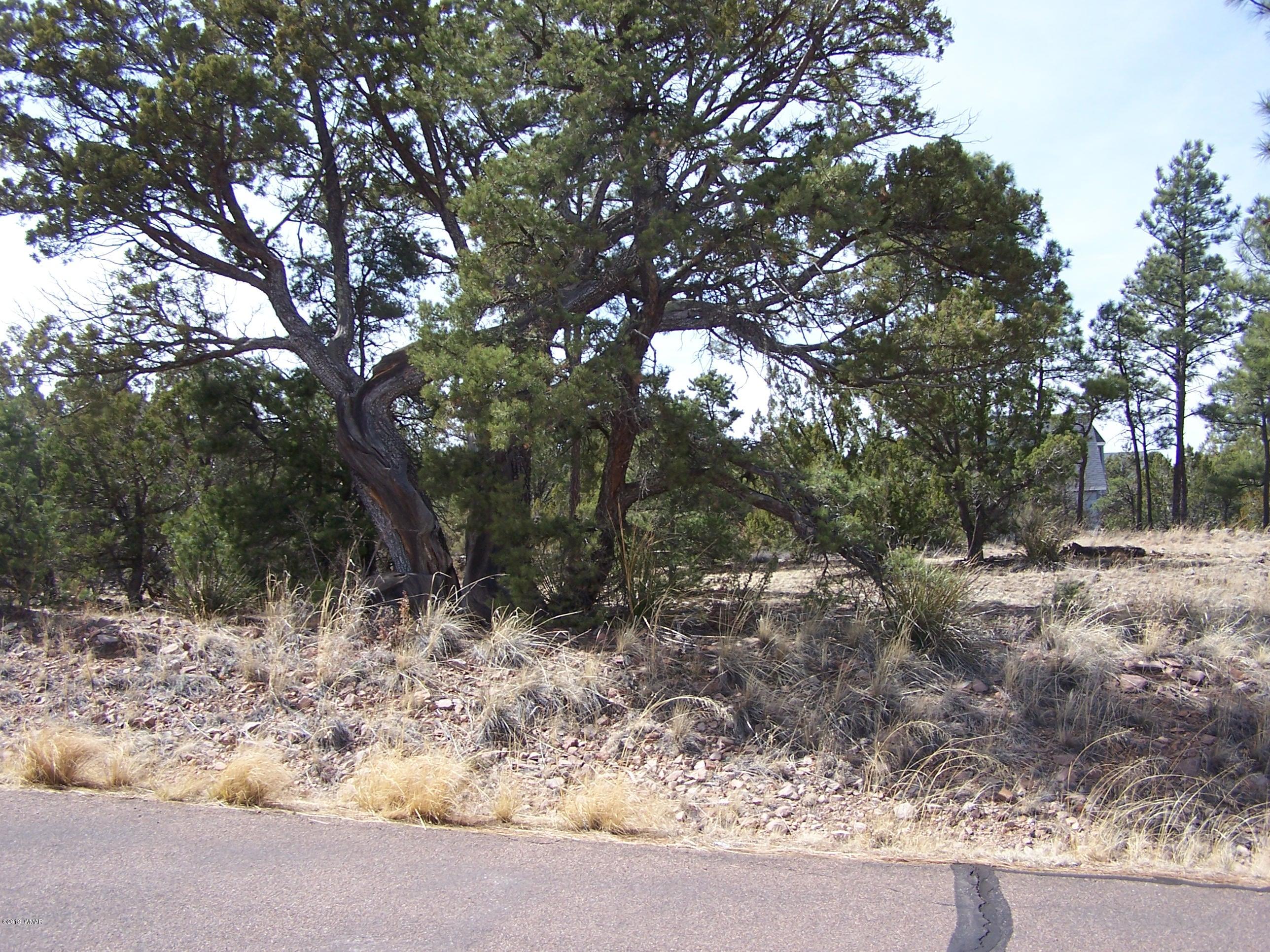 6859 Rim Rock Road Show Low, AZ 85901 - Photo 9 of 18 Gallery Image 9