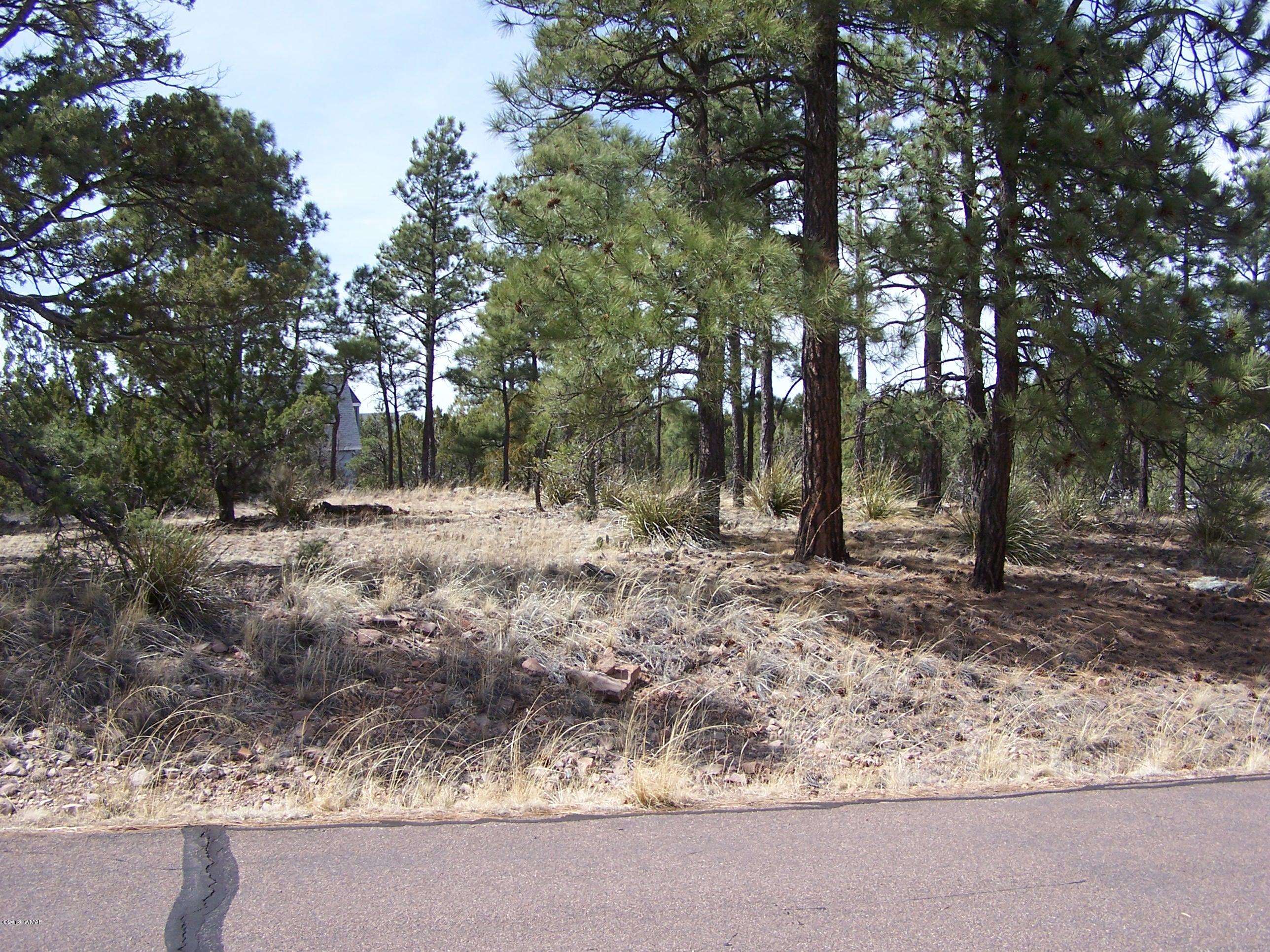 6859 Rim Rock Road Show Low, AZ 85901 - Photo 10 of 18 Gallery Image 10