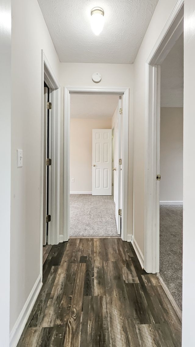 11 Amberwood Road Fayetteville, TN 37334 - Photo 13 of 36