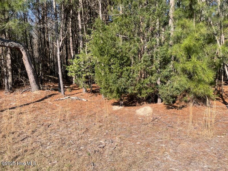 5635 McKendree Church Road Tarboro, NC 27886 - Photo 22 of 80 IMG954140 (1)