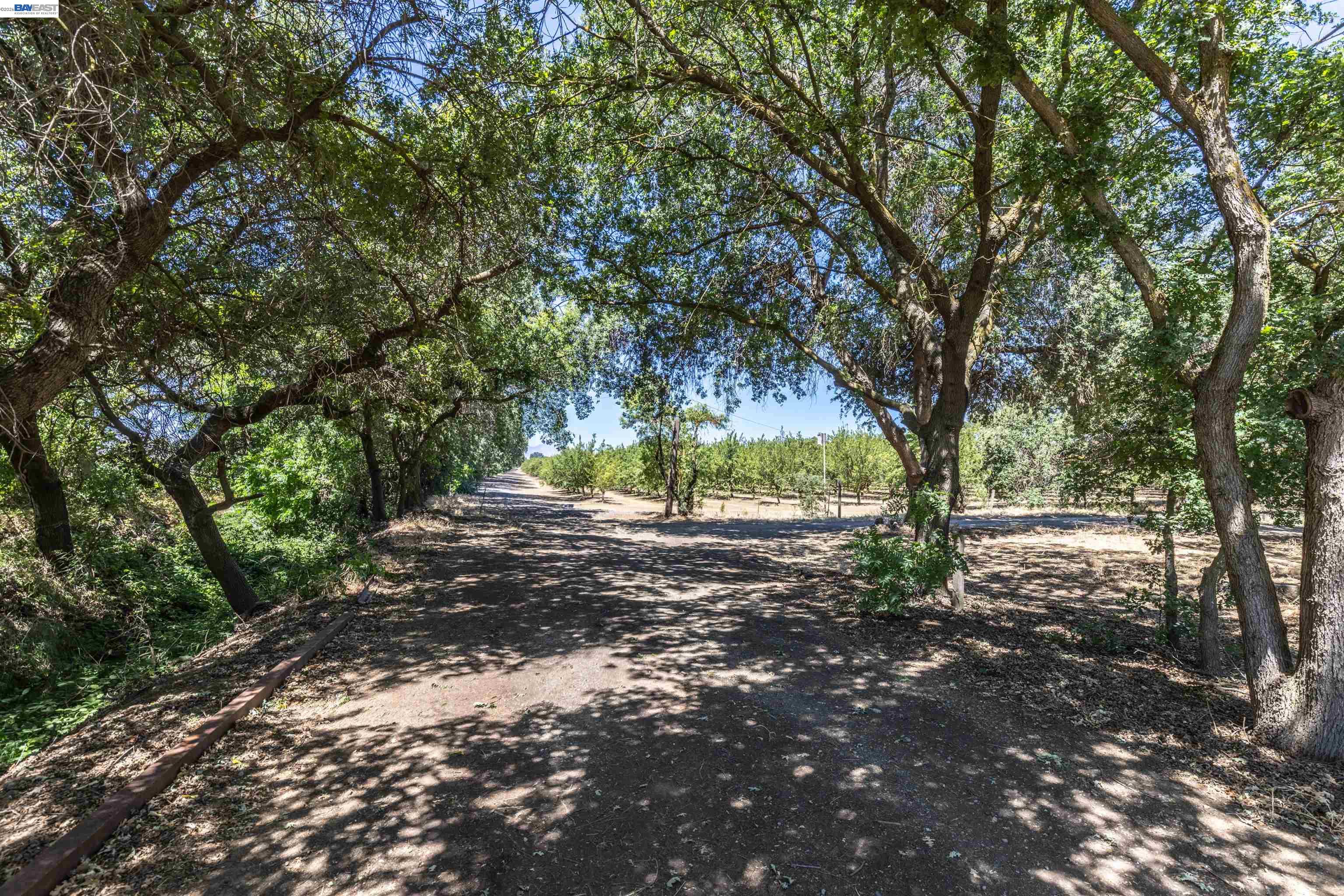 3515 Kellogg Creek Road Byron, CA 94505 - Photo 2 of 16