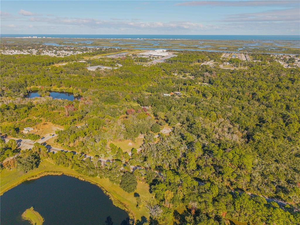 480 Clinton Cemetery Road Edgewater, FL 32141 - Photo 16 of 29 a view of an ocean