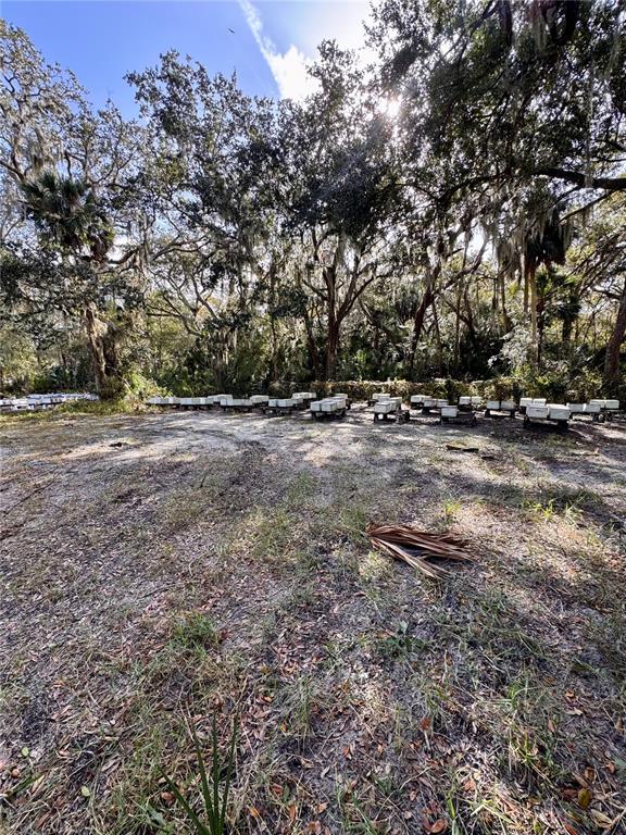 480 Clinton Cemetery Road Edgewater, FL 32141 - Photo 24 of 29
