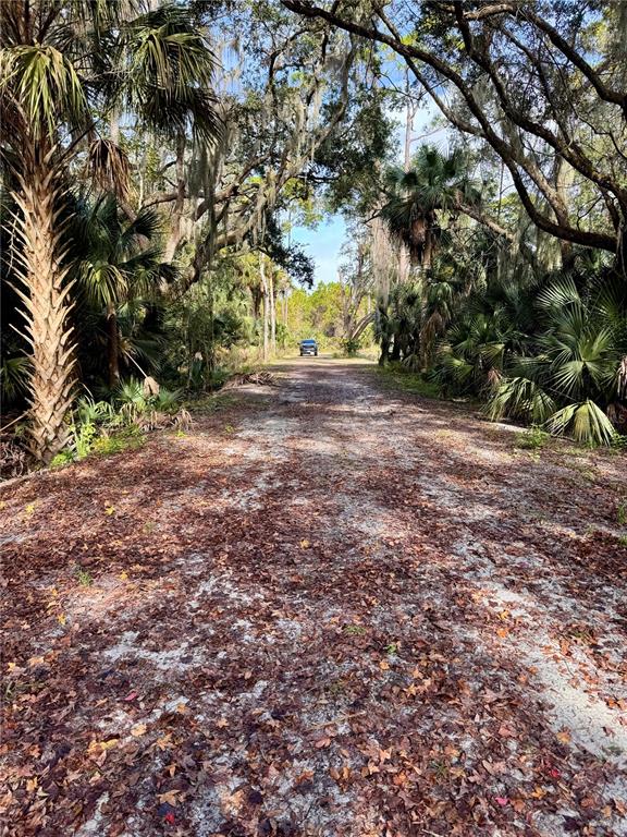 480 Clinton Cemetery Road Edgewater, FL 32141 - Photo 27 of 29