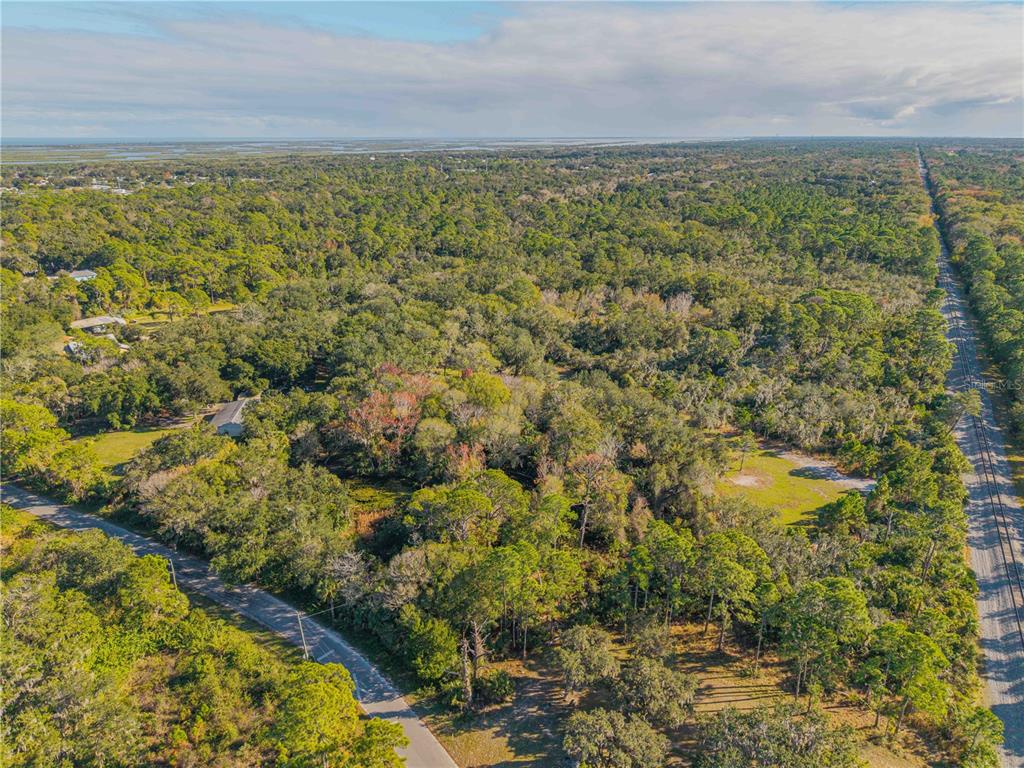 480 Clinton Cemetery Road Edgewater, FL 32141 - Photo 3 of 29 a view of an outdoor space and a yard